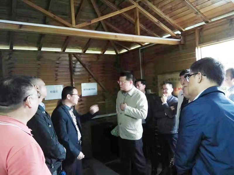 有机垃圾处理设备