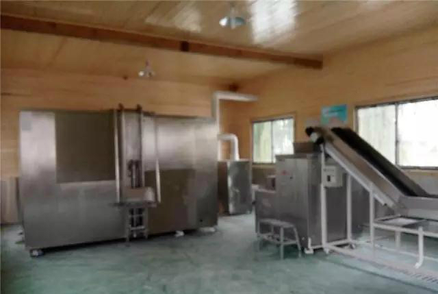 有机垃圾处理设备