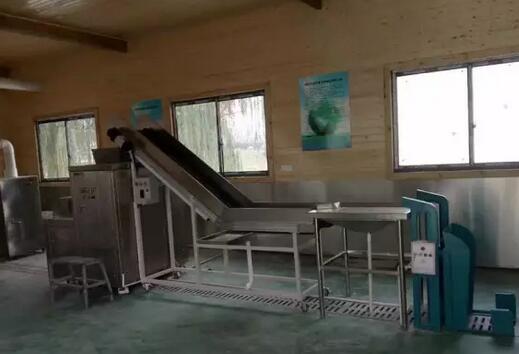 厨余垃圾处理设备