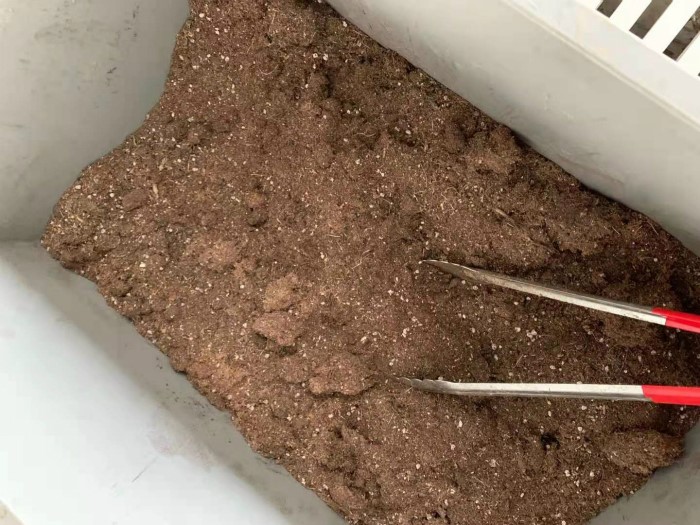 易腐垃圾处理 易腐垃圾处理