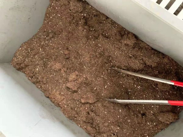 厨余垃圾处理设备