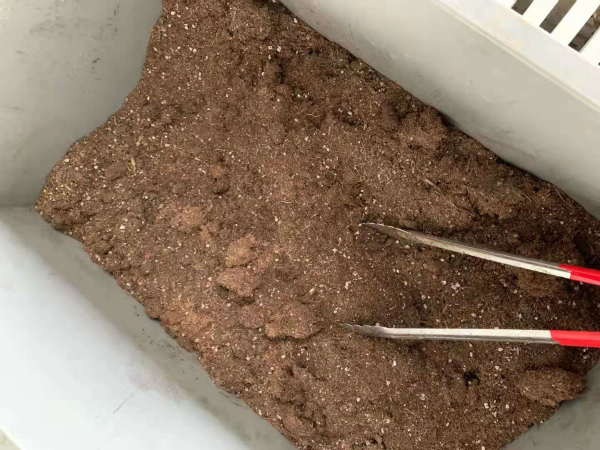 餐厨垃圾一体化处理设备 餐厨垃圾一体化处理设备