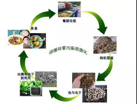 餐厨垃圾处理