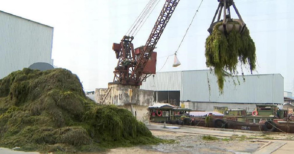 环太湖有机废弃物处理