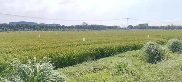 环太湖有机废弃物处理