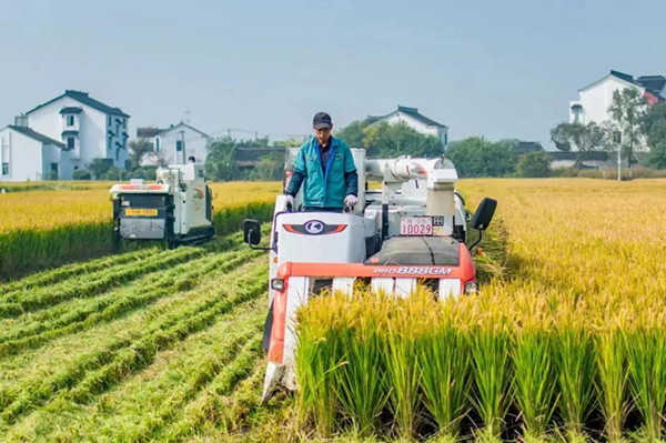 环太湖城乡有机废弃物处理 环太湖城乡有机废弃物处理