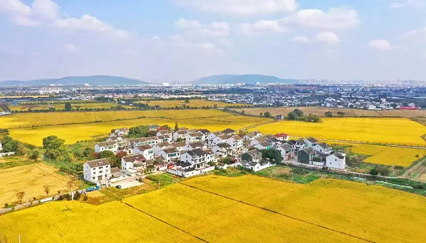 环太湖城乡有机废弃物处理 环太湖城乡有机废弃物处理