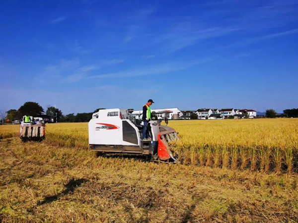 环太湖城乡有机废弃物处理 环太湖城乡有机废弃物处理